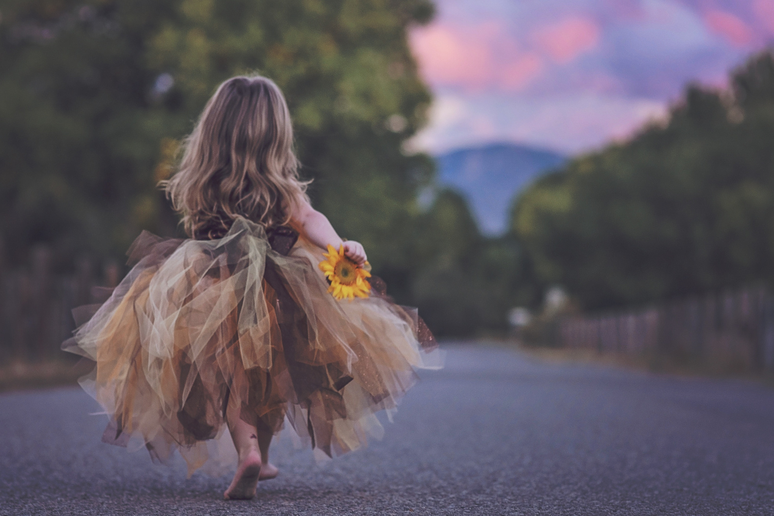 Girl in a Dress Holding a Sunflower